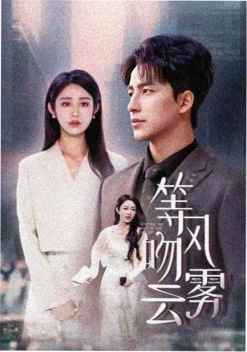 无声证词 刑侦剧在线观看